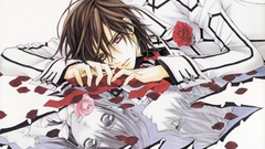 Vampire knight lying down