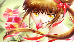 Vampire Princess Miyu