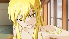 Vampires blondes bakemonogatari yellow eyes nisemonogatari 