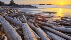 Vancouver British Columbia national park Pacific Driftwood rim
