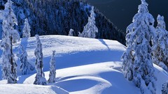 Vancouver British Columbia north Parks mount