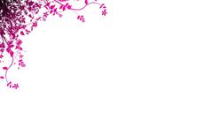 Variation pink abstract patterns