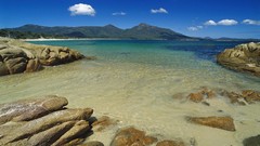 Varied Archigraph Reza farsipack