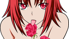 Vector transparent kampfer mishima