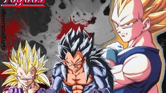 Vegeta bg high