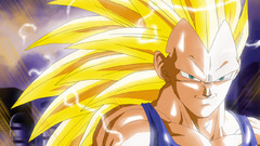 Vegeta Dragon Ball Z