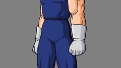 Vegeta Dragon Ball Z