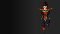 Vegeta Dragon Ball Z