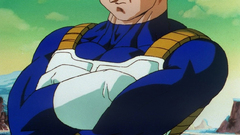 Vegeta Dragon Ball Z