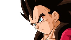 Vegeta Dragon Ball Z