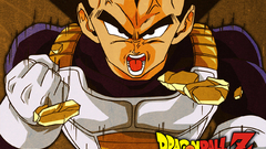 Vegeta Dragon Ball Z