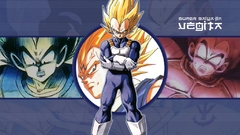 Vegeta Dragon Ball Z