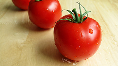 Vegetable tomatoes