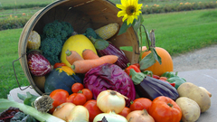 Vegetables Flowers roads fruits