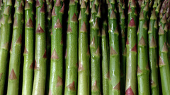 Vegetables food asparagus Food