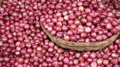 Vegetables food onions