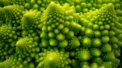 Vegetables Fractals Plants Fibonacci
