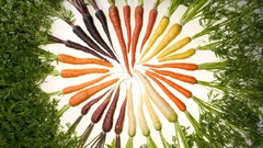 Vegetables multicolor carrots