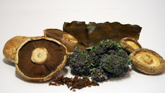 Vegetables mushrooms