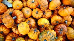 Vegetables none pumpkins Food