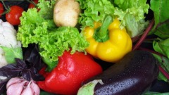 Vegetables tomatoes peppers lettuce eggplants