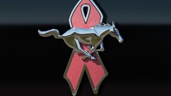 Vehicles 2008 Ford mustang muscle cars emblems