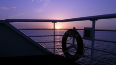 Vehicles by taramara boat