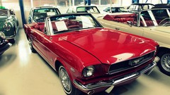 Vehicles Ford mustang