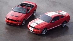 Vehicles Ford mustang cars