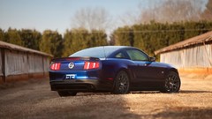 Vehicles Ford mustang muscle cars blue cars