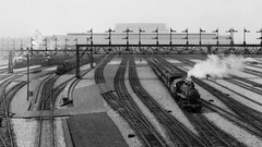 Vehicles trains train stations trainway