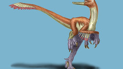 Velociraptor drawings Art