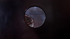 Velociraptor Jurassic Park