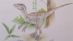 Velociraptor sornaensis high