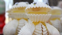 Venice shells Beaches artwork