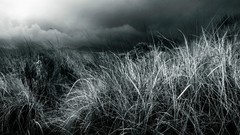 Verde campo Cesped tormenta pasto