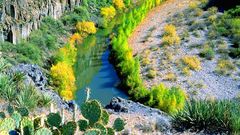 Verderiverbg verderiver high