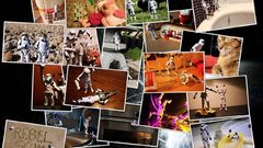 Version star need original