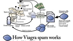Viagra infographics