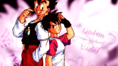 Videl (Dragon Ball) Dragon