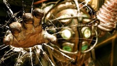 Video games big daddy