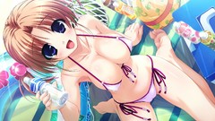 Video games bikini ecchi