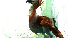 Video games Birds Animals