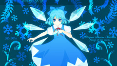 Video Games blue touhou