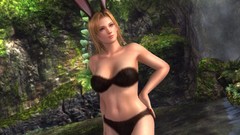 Video games bunny ears Dead Or Alive Tina Armstrong