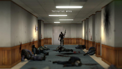 Video games counter-strike terrorists