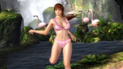 Video games Dead or Alive 5