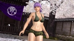 Video games Dead or Alive 5