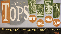 Video games fallout new