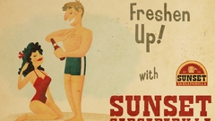 Video games fallout new